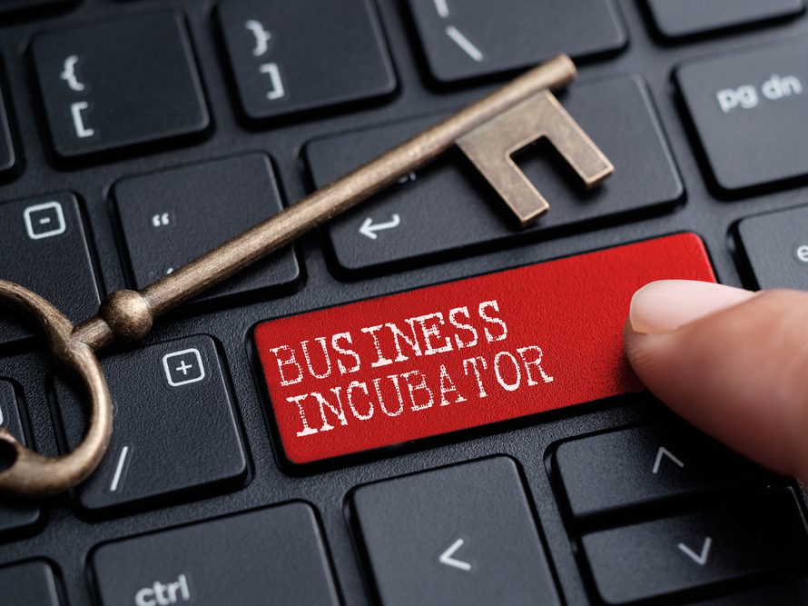 find out how a business incubator could benefit you