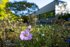Business location importance: how it influences opportunities