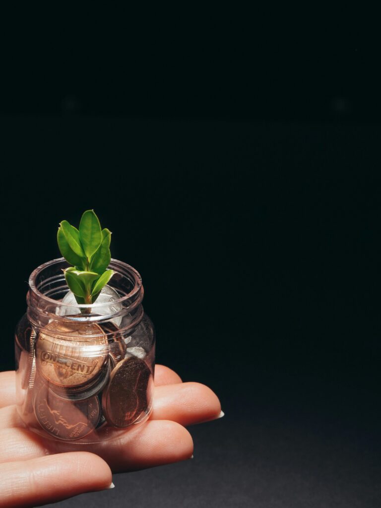 An image of someone holding a small jar with coins in it and a small plant in it to represent crowdfunding.